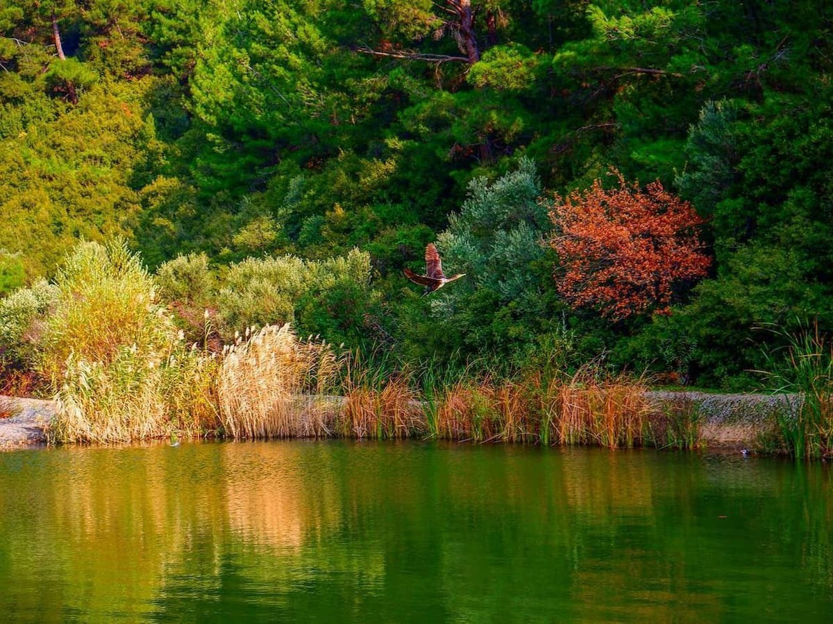 Daily IZMIR CITY TOUR (To the  Historical places)