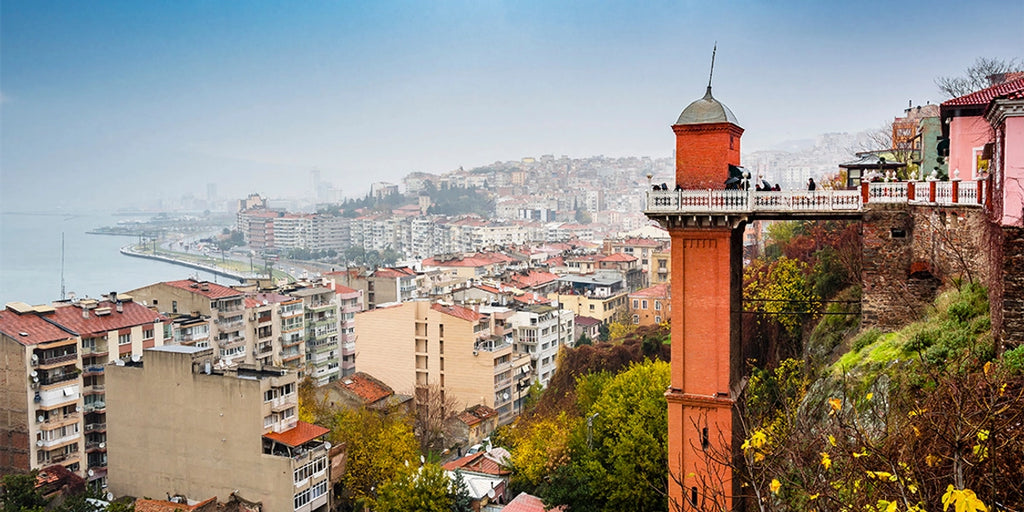 Daily IZMIR CITY TOUR (To the  Historical places)